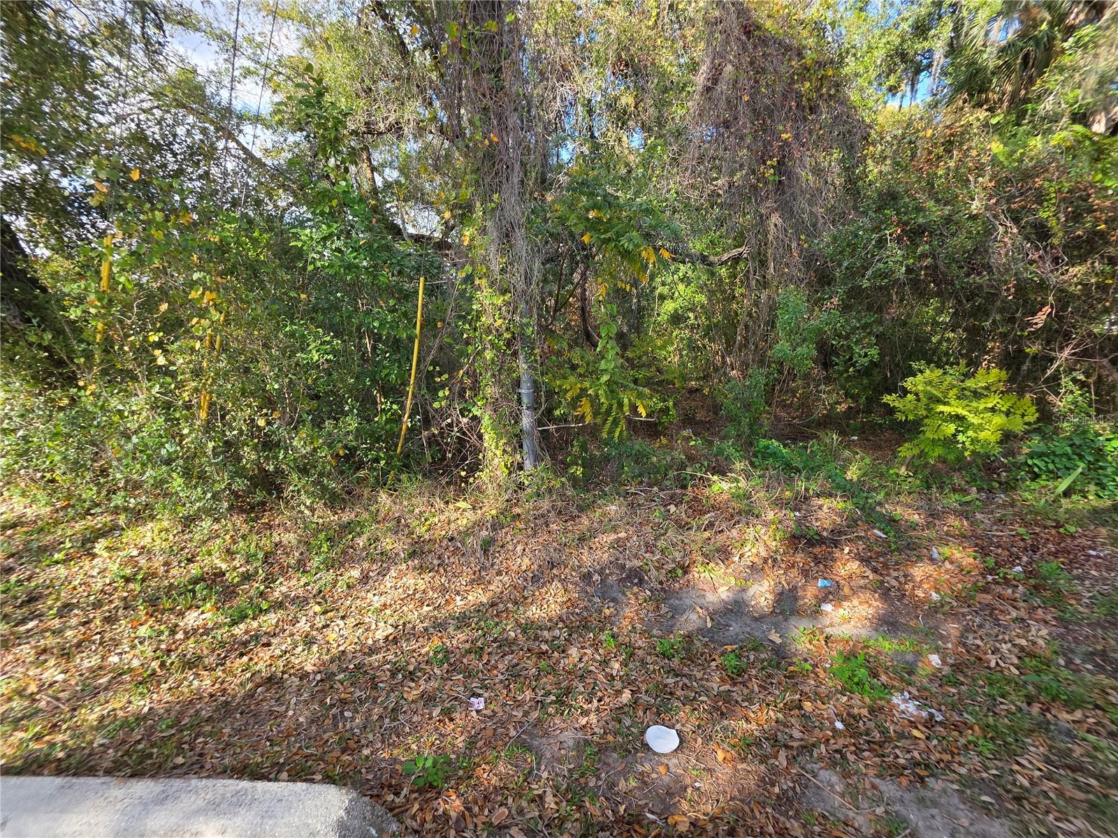 Image 12 of 12 For 0 Michigan Avenue