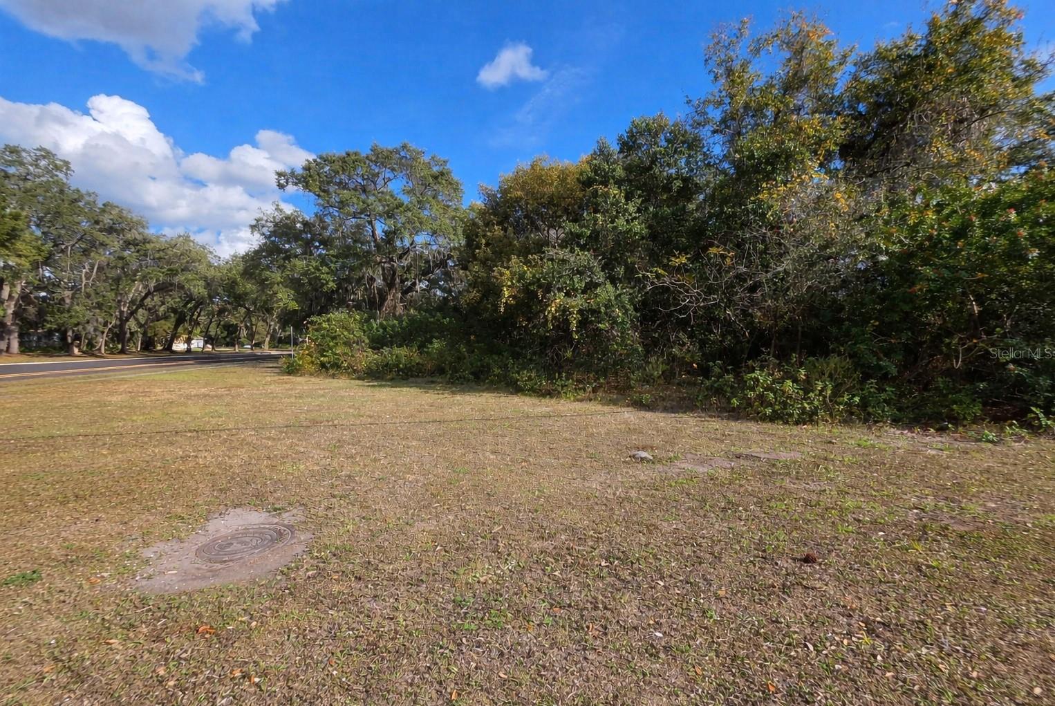 Image 3 of 12 For 0 Michigan Avenue