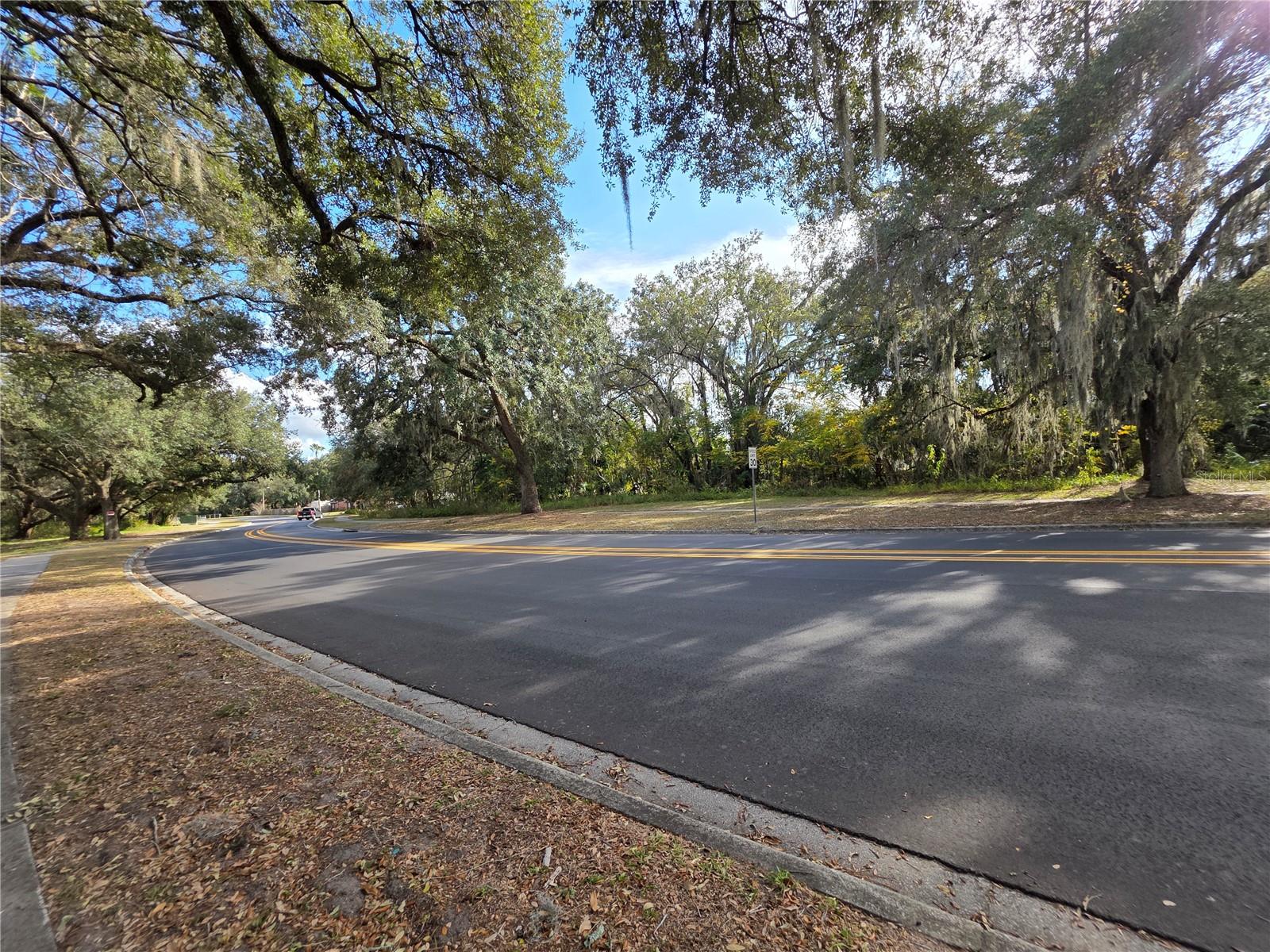 Image 4 of 12 For 0 Michigan Avenue