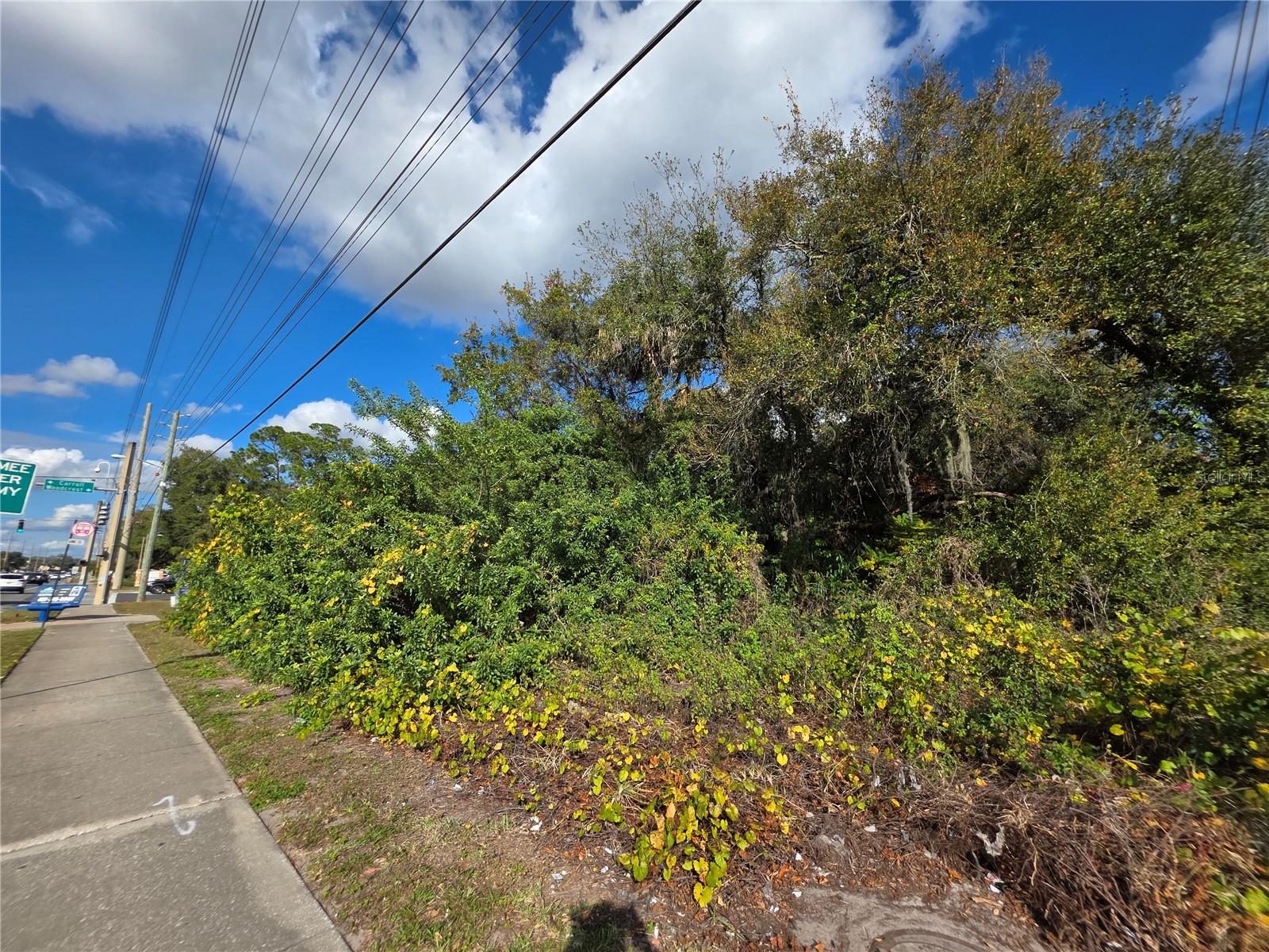 Image 6 of 12 For 0 Michigan Avenue