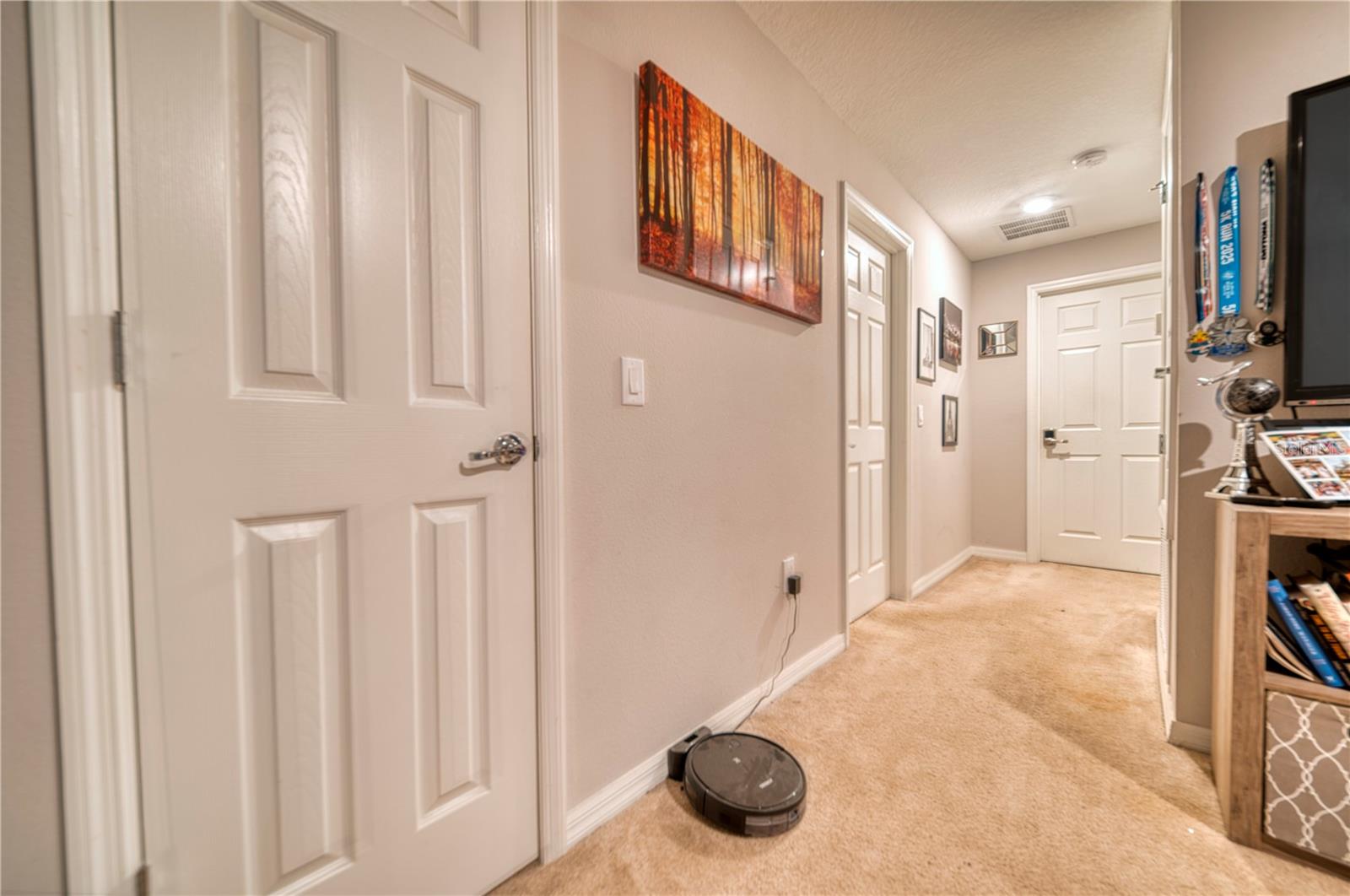 Listing photo id 19 for 3390 Bellezza Court