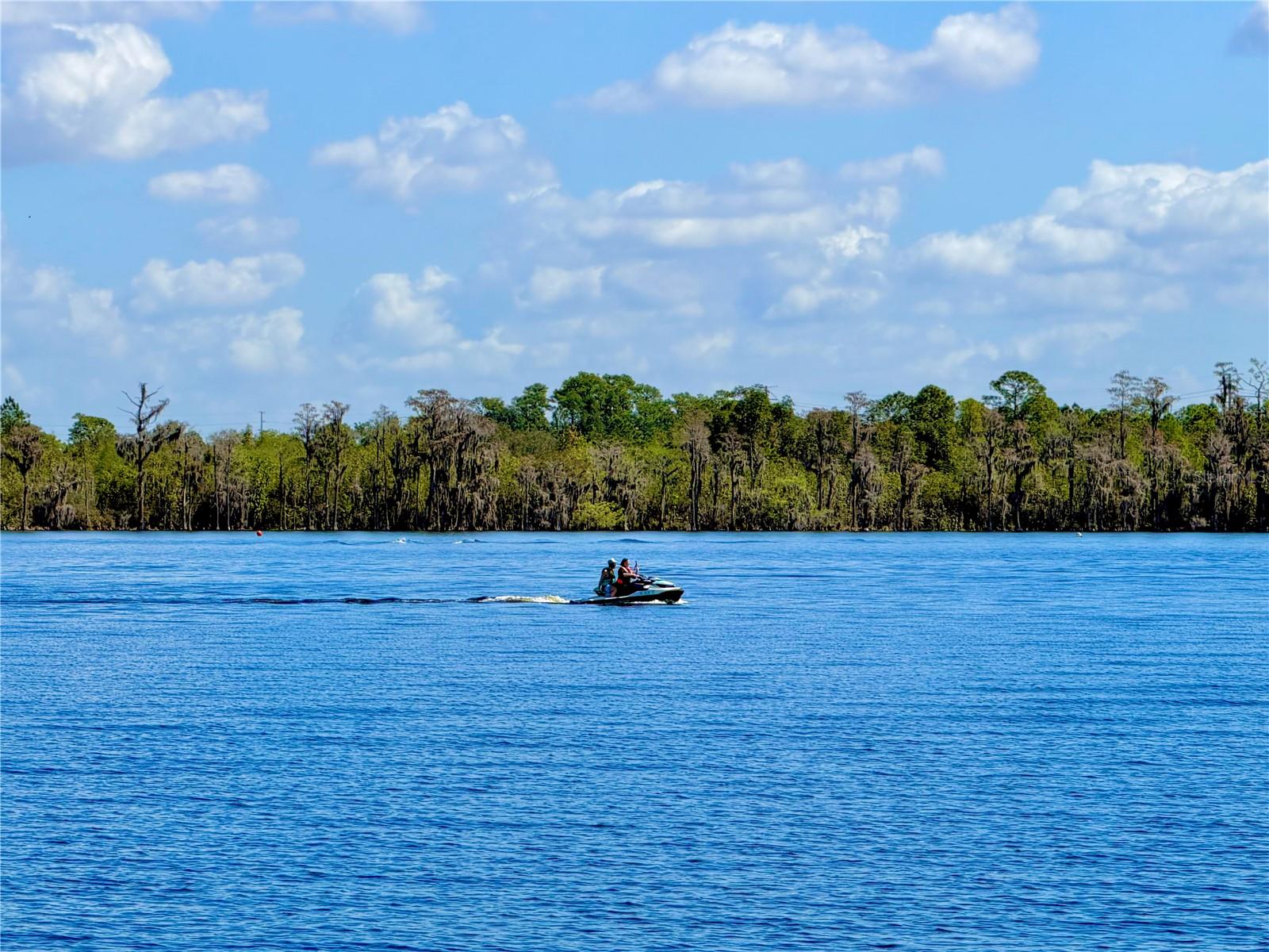 Image 3 of 35 For 13415 Blue Heron Beach Drive 1407