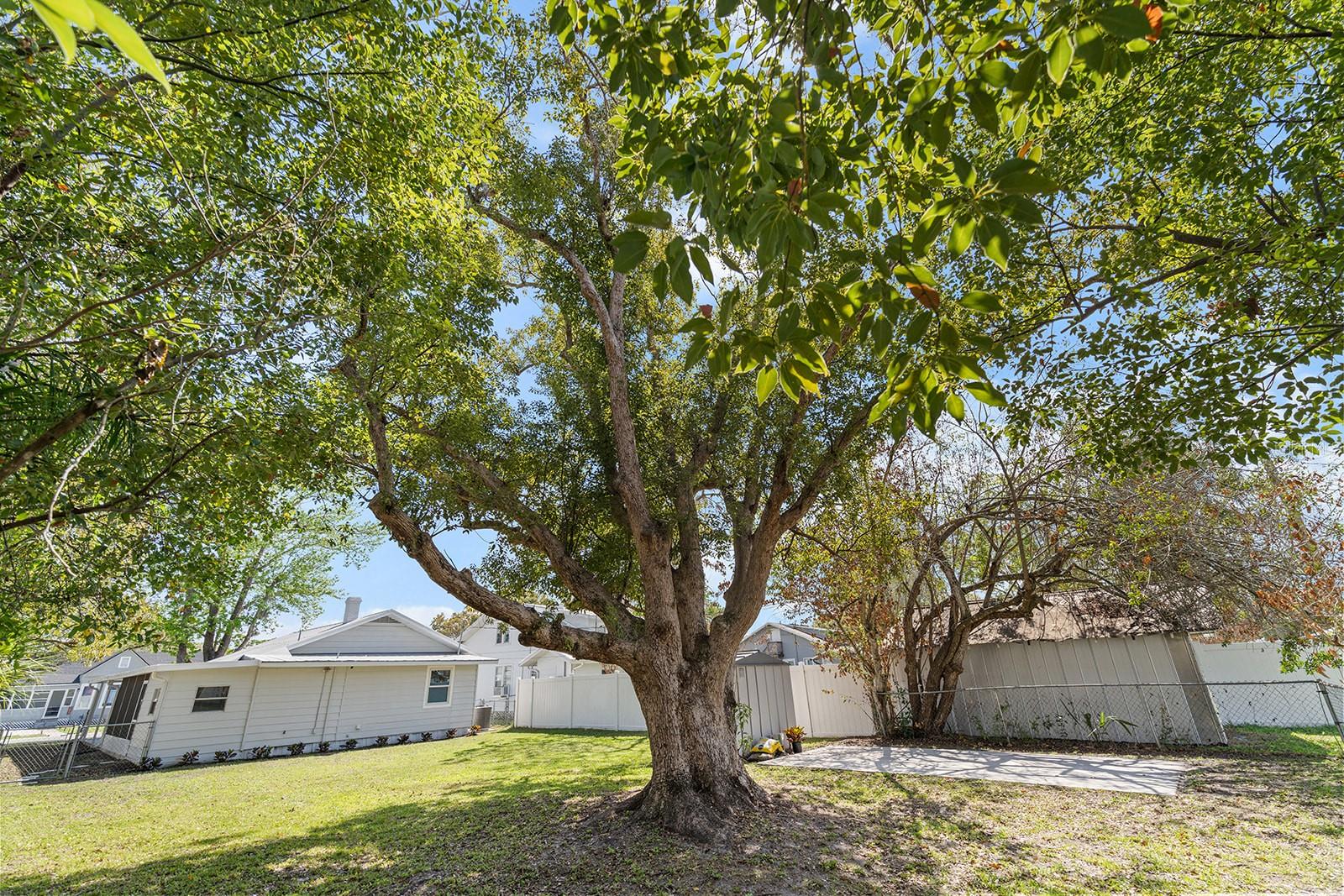 Image 32 of 38 For 1508 Kentucky Avenue