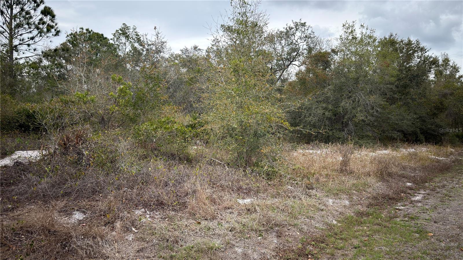 Details for 336 Pershing Avenue, LAKE PLACID, FL 33852