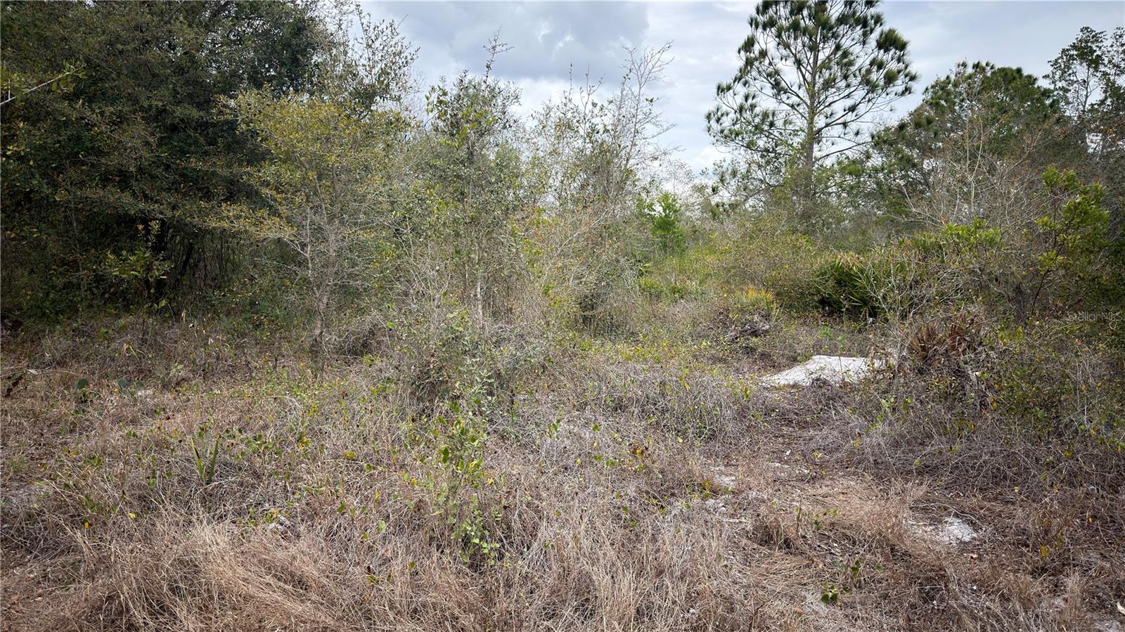 Image 2 of 5 For 336 Pershing Avenue