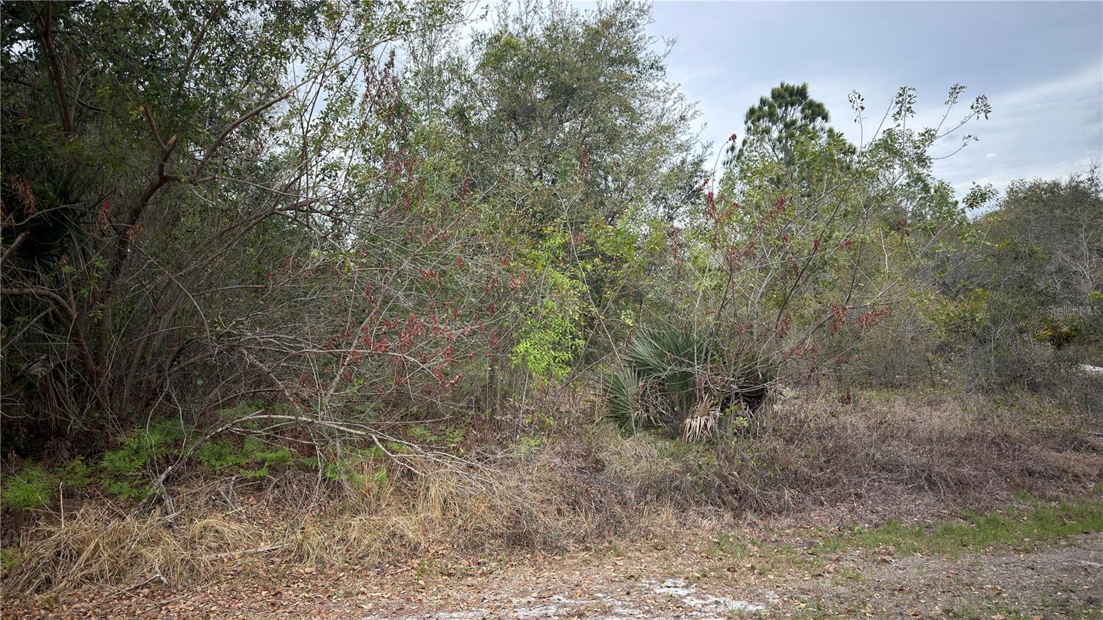 Image 3 of 5 For 336 Pershing Avenue