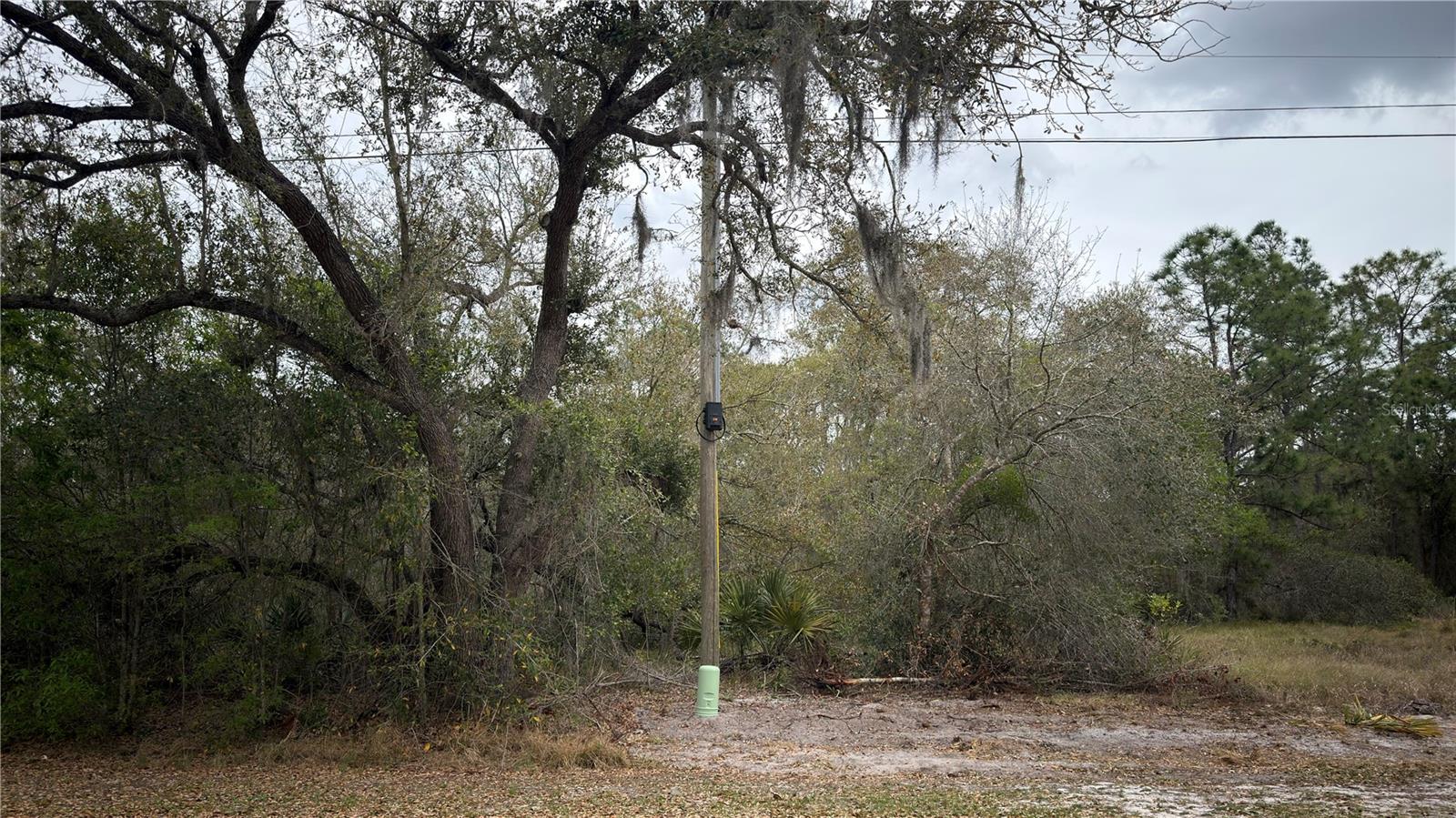 Image 4 of 5 For 336 Pershing Avenue