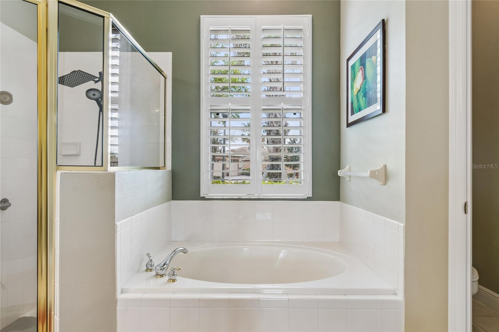 Image 30 of 62 For 113 Tivoli Trace Ct