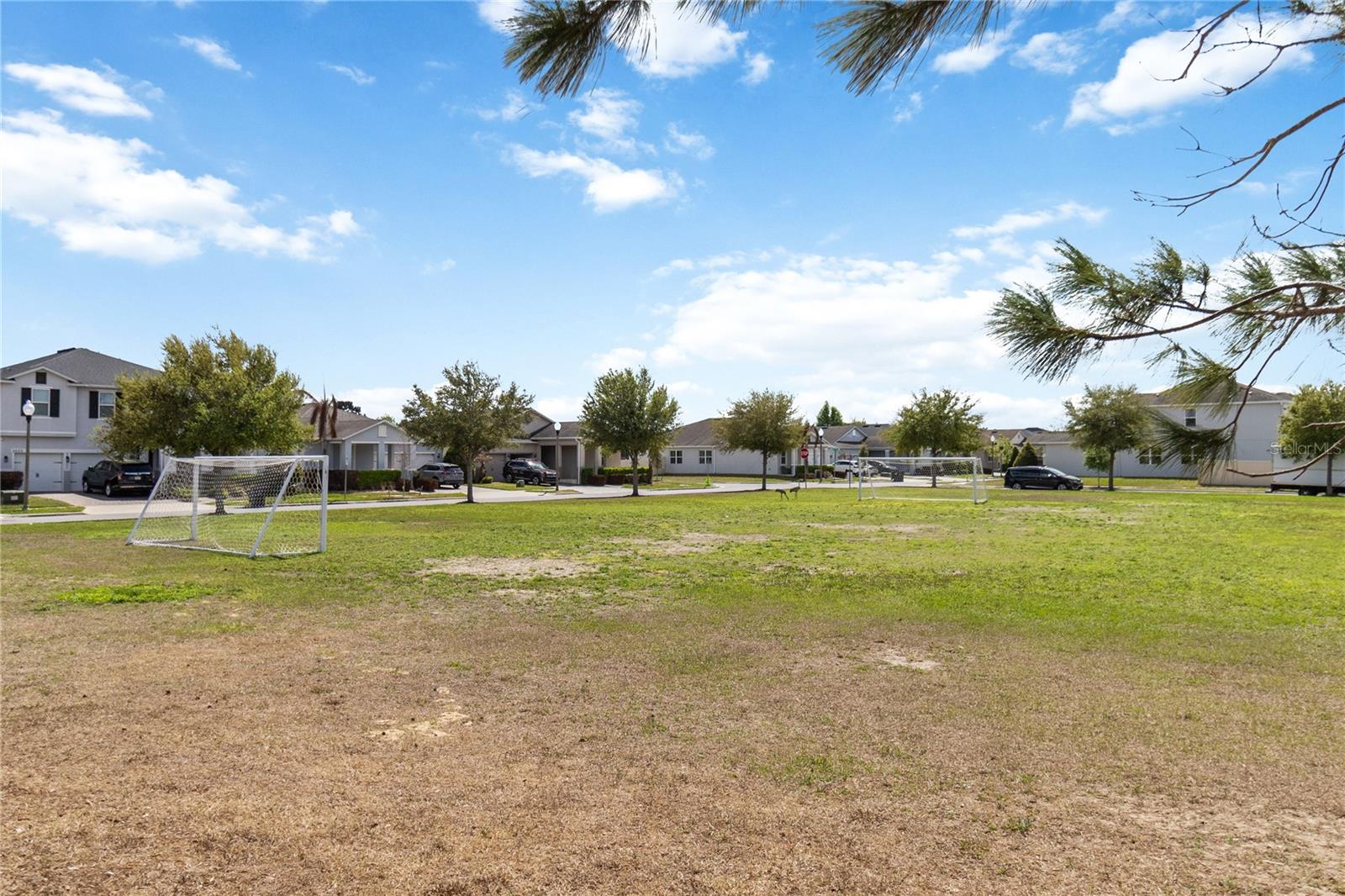 Image 45 of 50 For 3089 Irish Peach Drive