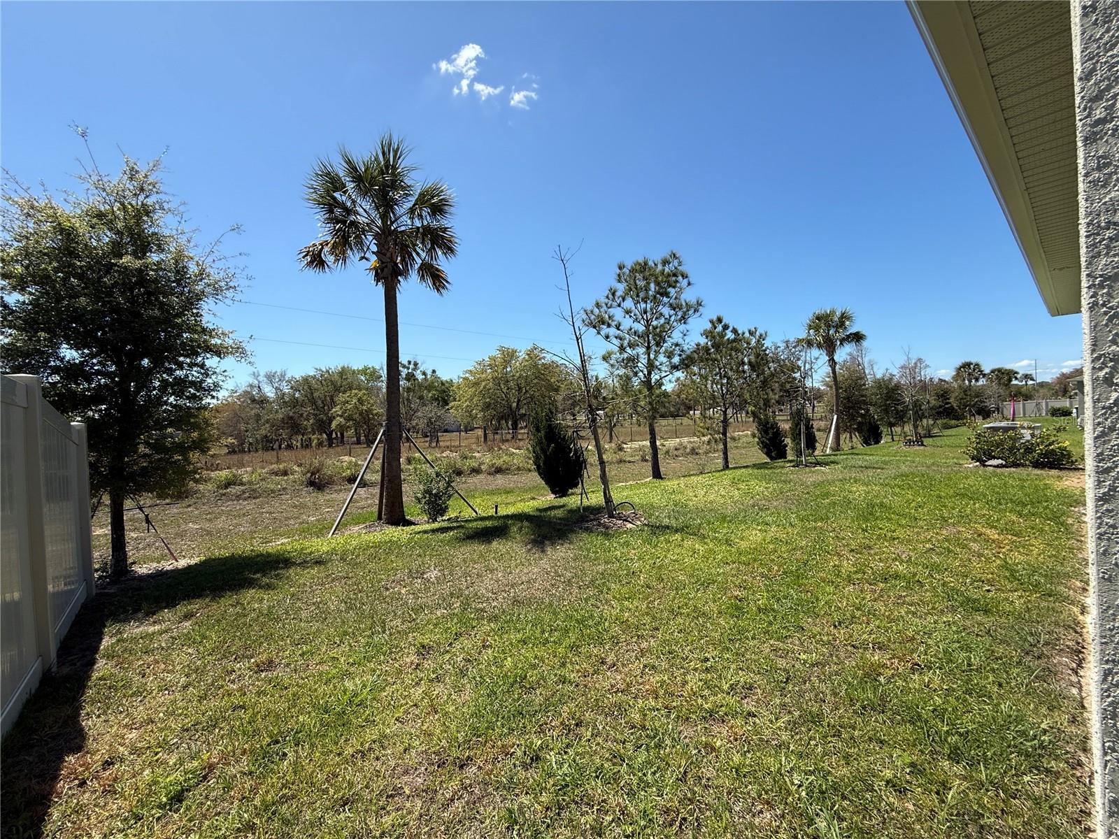 Image 25 of 36 For 2729 Sweet Acacia Drive