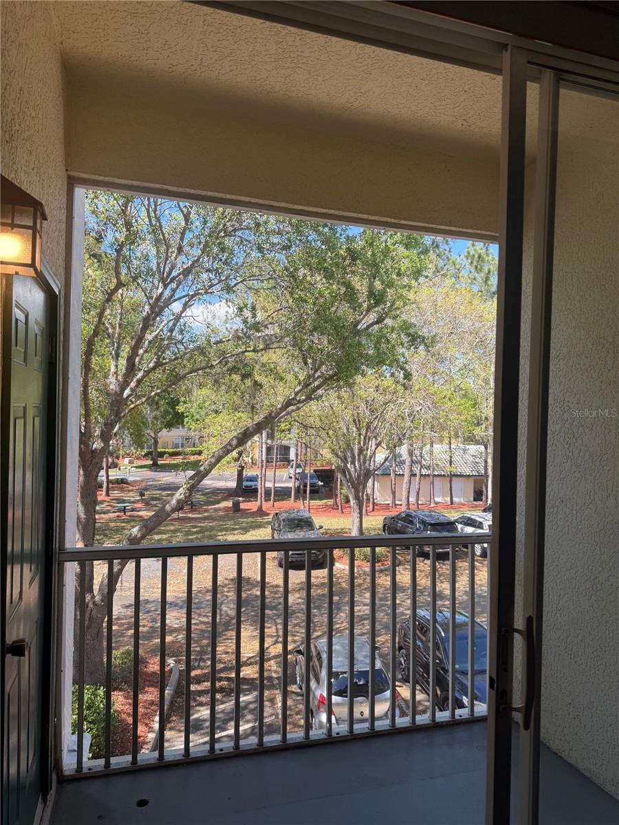 Image 14 of 21 For 8904 Legacy Court 209