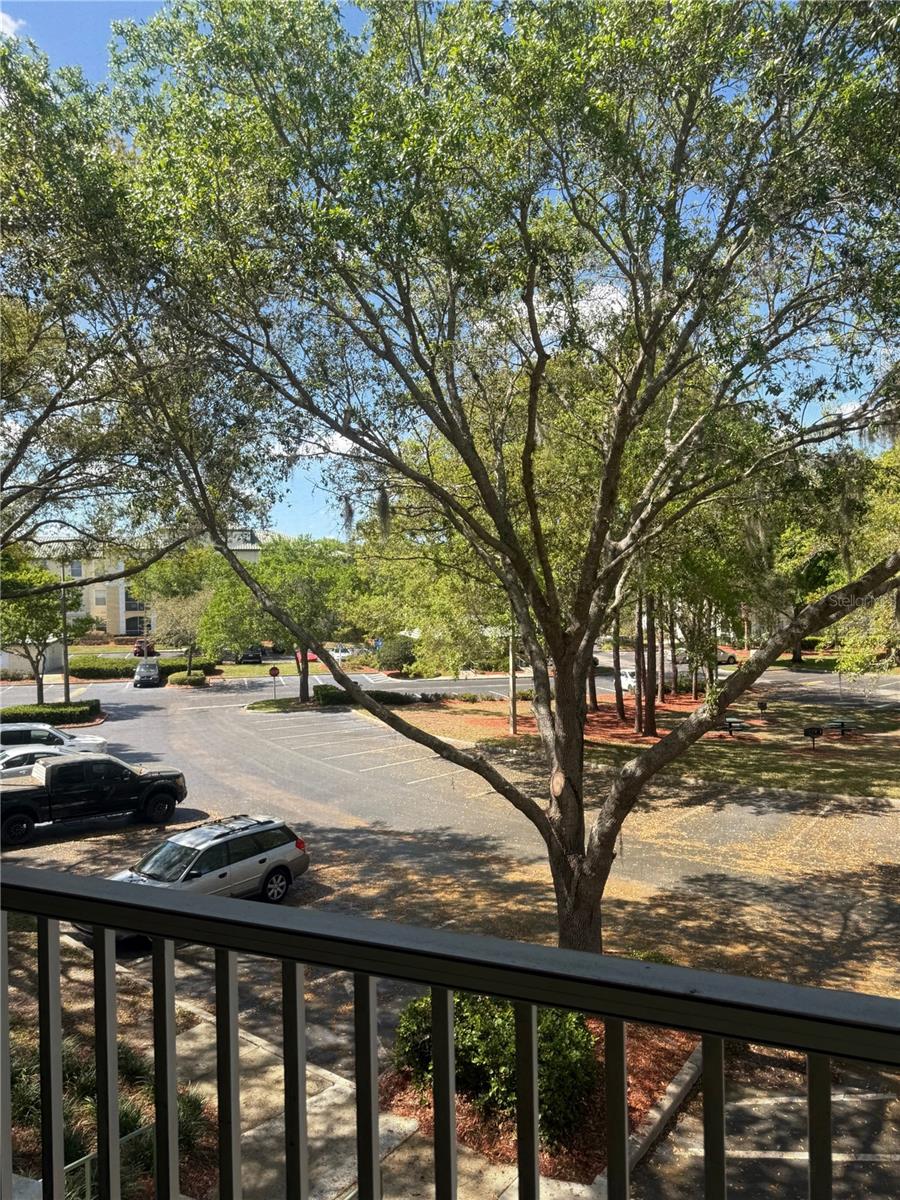 Image 16 of 21 For 8904 Legacy Court 209