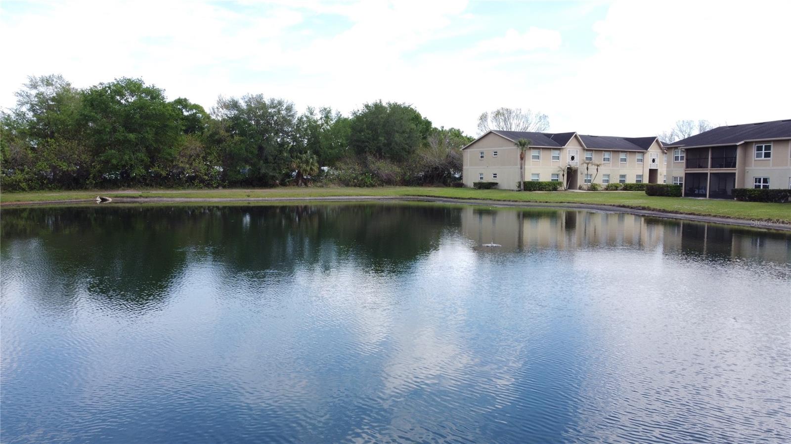 Image 48 of 49 For 9950 Turf Way 4