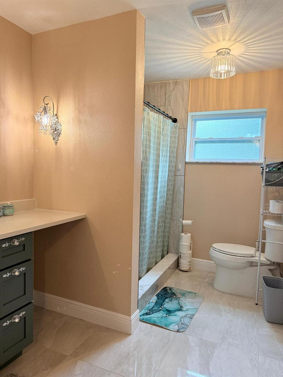 Image 12 of 18 For 18240 Mount Olive Drive