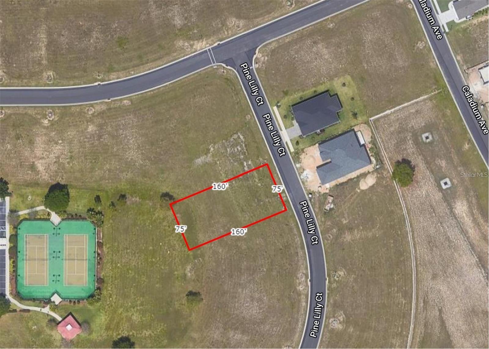 Details for 253 Pine Lilly Court, LAKE ALFRED, FL 33850