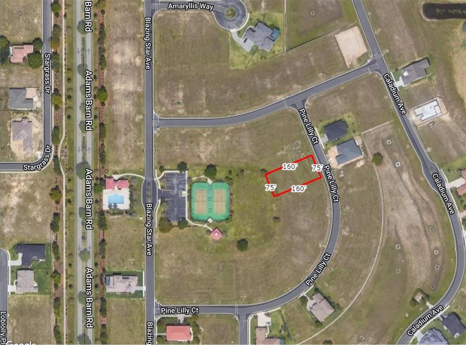 Image 2 of 8 For 253 Pine Lilly Court