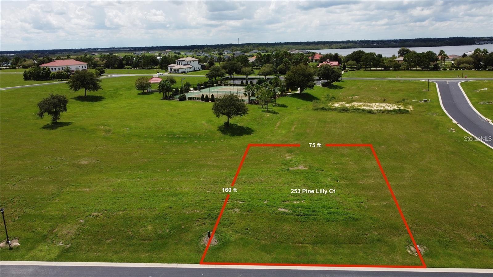 Image 3 of 8 For 253 Pine Lilly Court