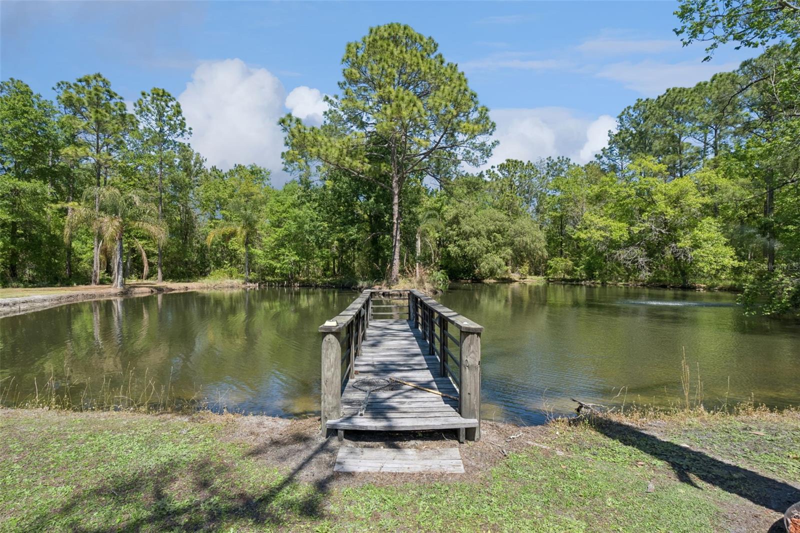 Image 66 of 95 For 8501 Natures Hammock Trail