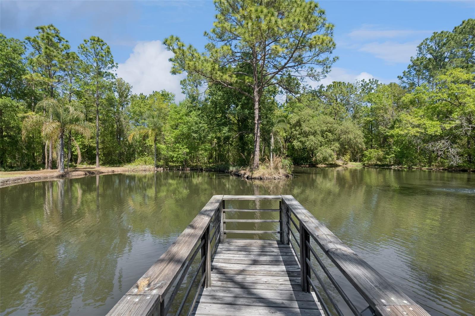 Image 67 of 95 For 8501 Natures Hammock Trail
