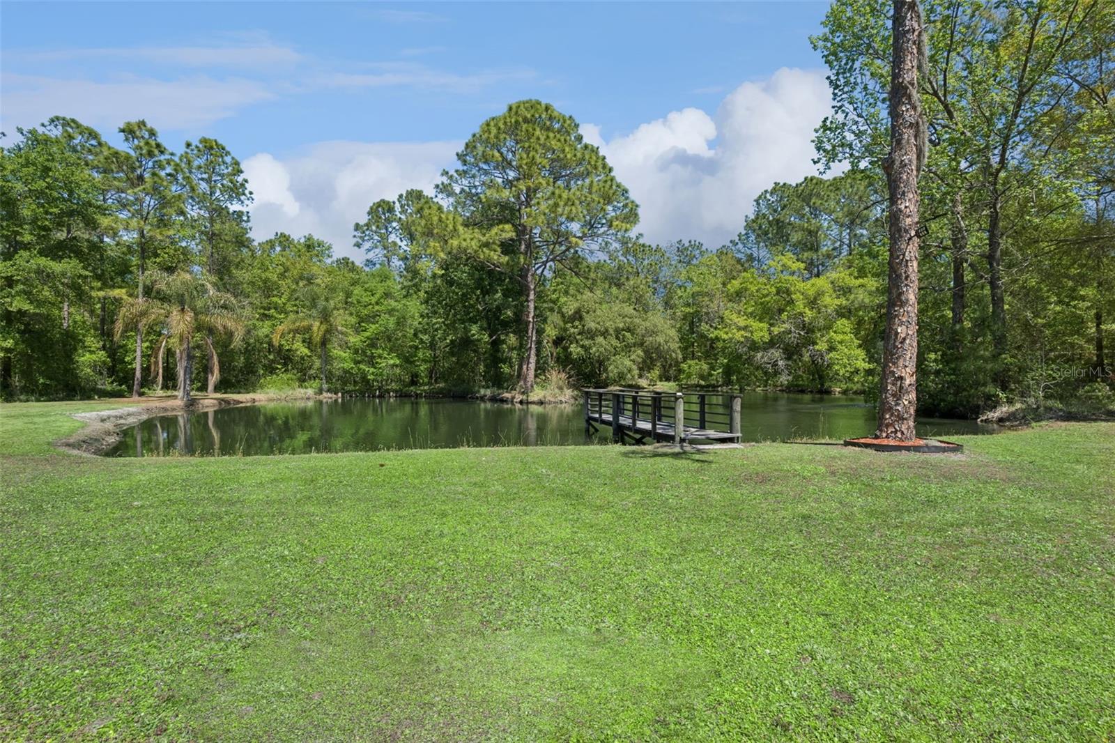 Image 71 of 95 For 8501 Natures Hammock Trail