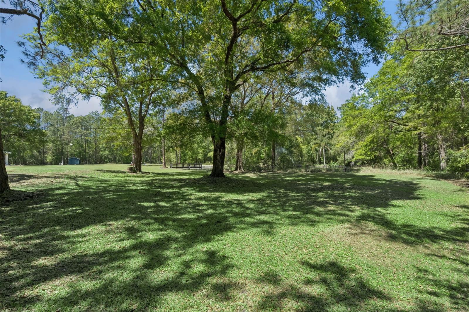 Image 75 of 95 For 8501 Natures Hammock Trail