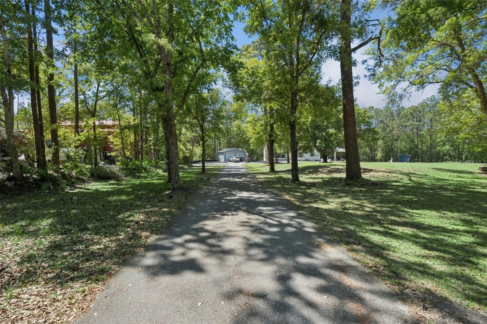 Image 84 of 95 For 8501 Natures Hammock Trail