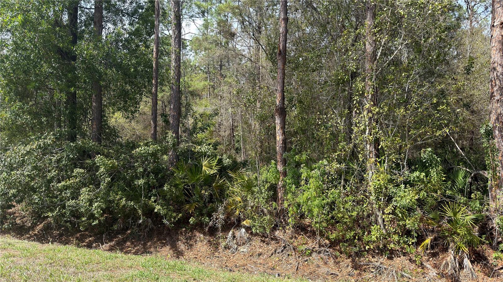 Details for 4801 La Flam Road, AVON PARK, FL 33825