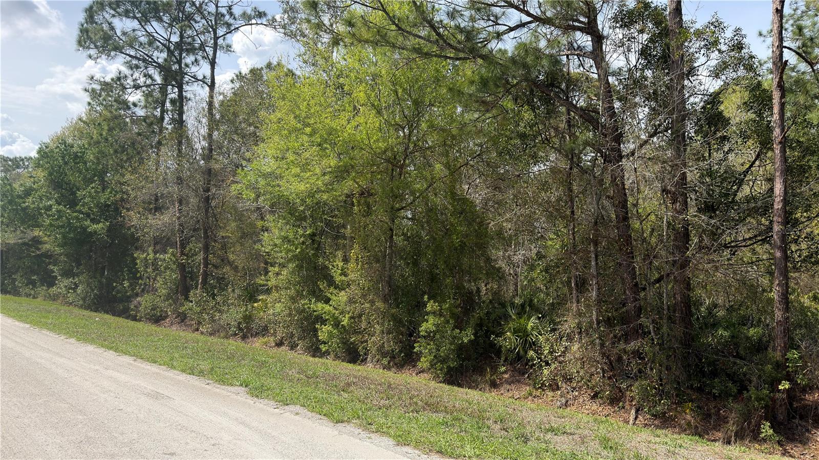 Image 4 of 7 For 4801 La Flam Road