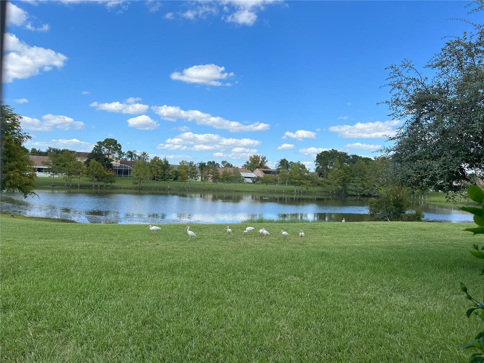 Image 14 of 61 For 12736 Newfield Drive