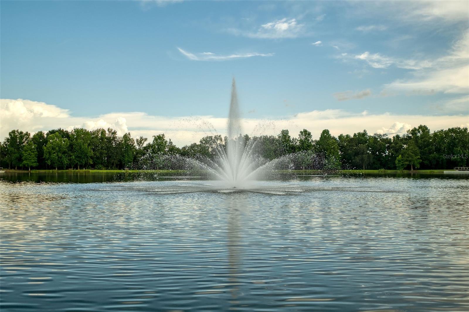 Image 41 of 45 For 1401 Celebration Avenue 309