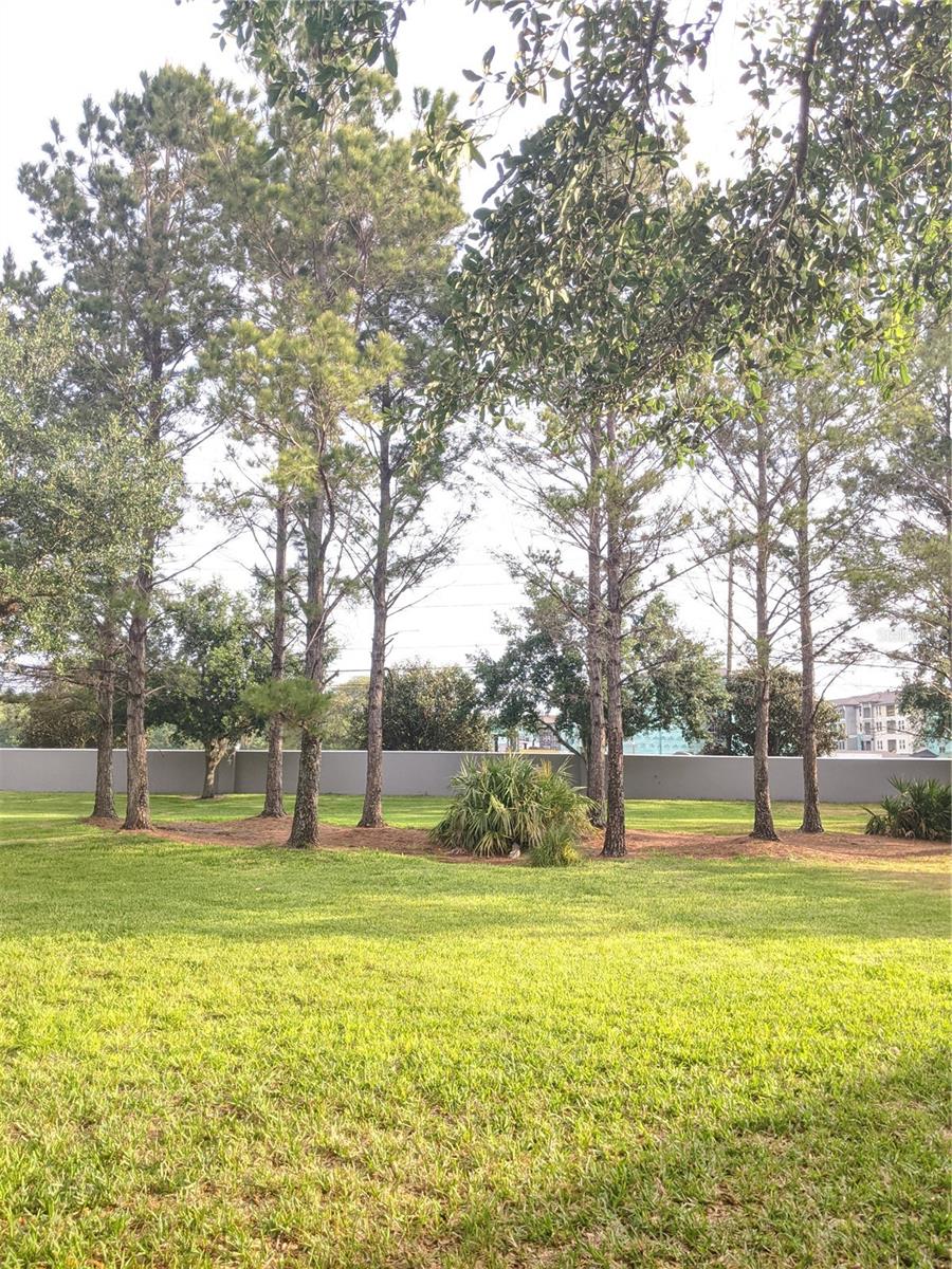 Image 22 of 34 For 9377 Jasmine Flower Lane 9377