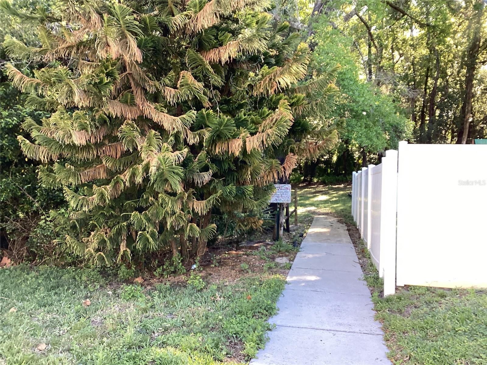 Image 32 of 39 For 1158 Dekleva Drive