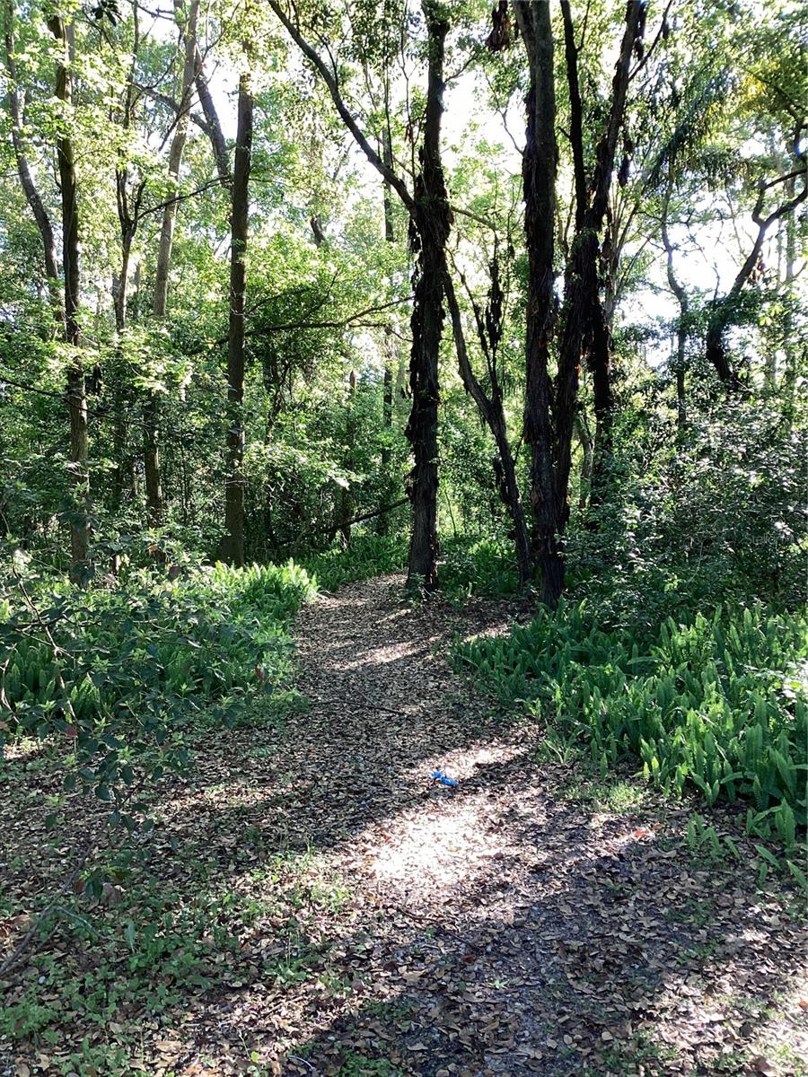 Image 37 of 39 For 1158 Dekleva Drive