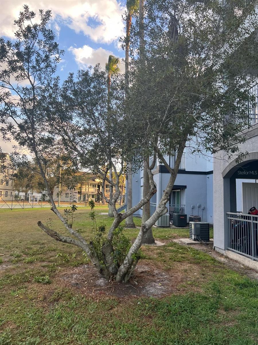 Image 3 of 12 For 3701 Castle Pines Lane 3924