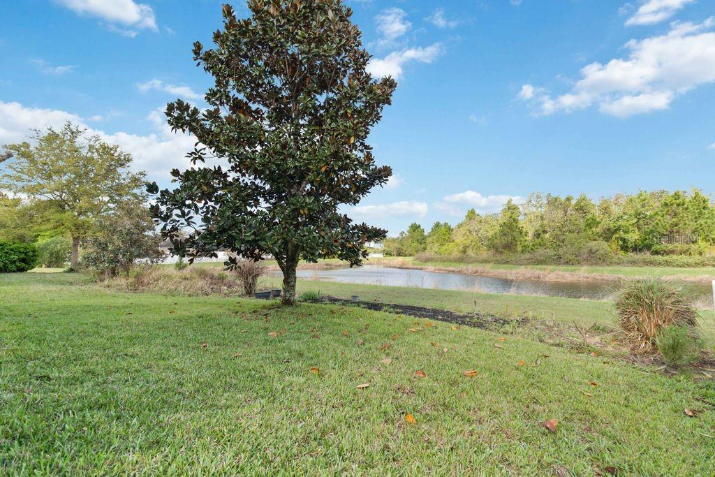 Image 46 of 55 For 3320 Grande Heron Drive