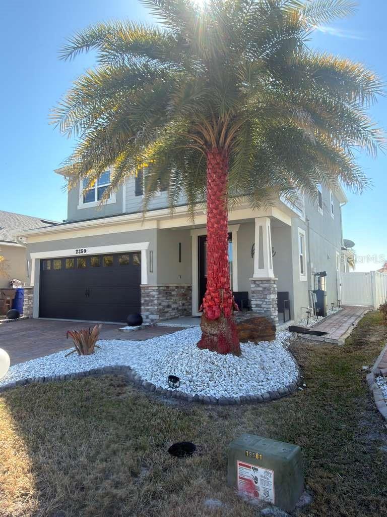 Image 17 of 24 For 2350 Rapollo