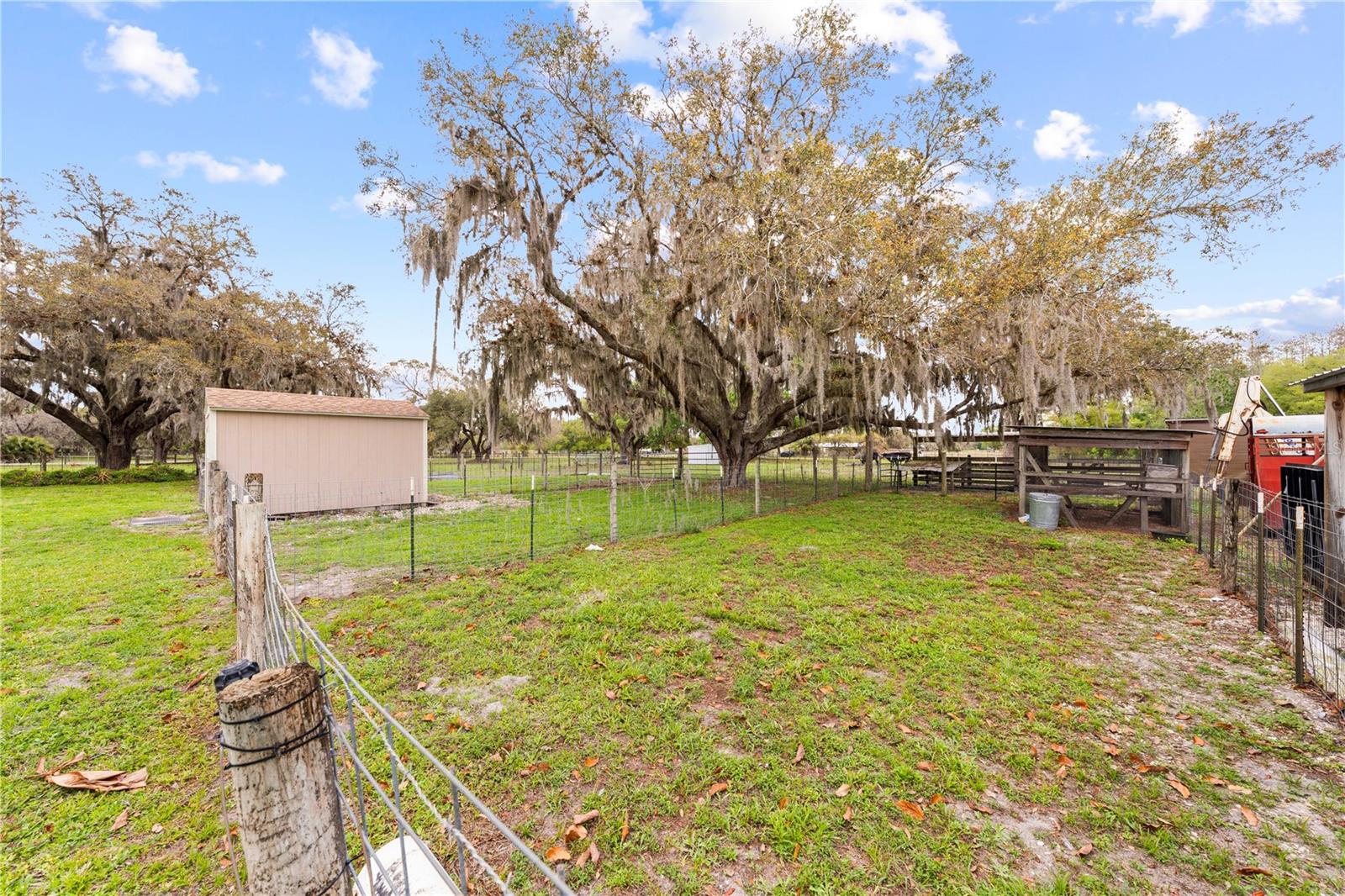 Image 15 of 56 For 1575 Kenansville Road