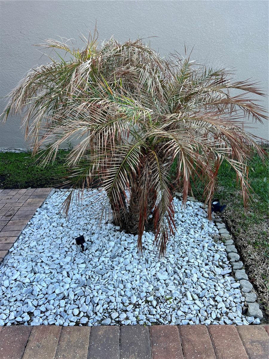 Image 65 of 65 For 2820 Chantilly Avenue