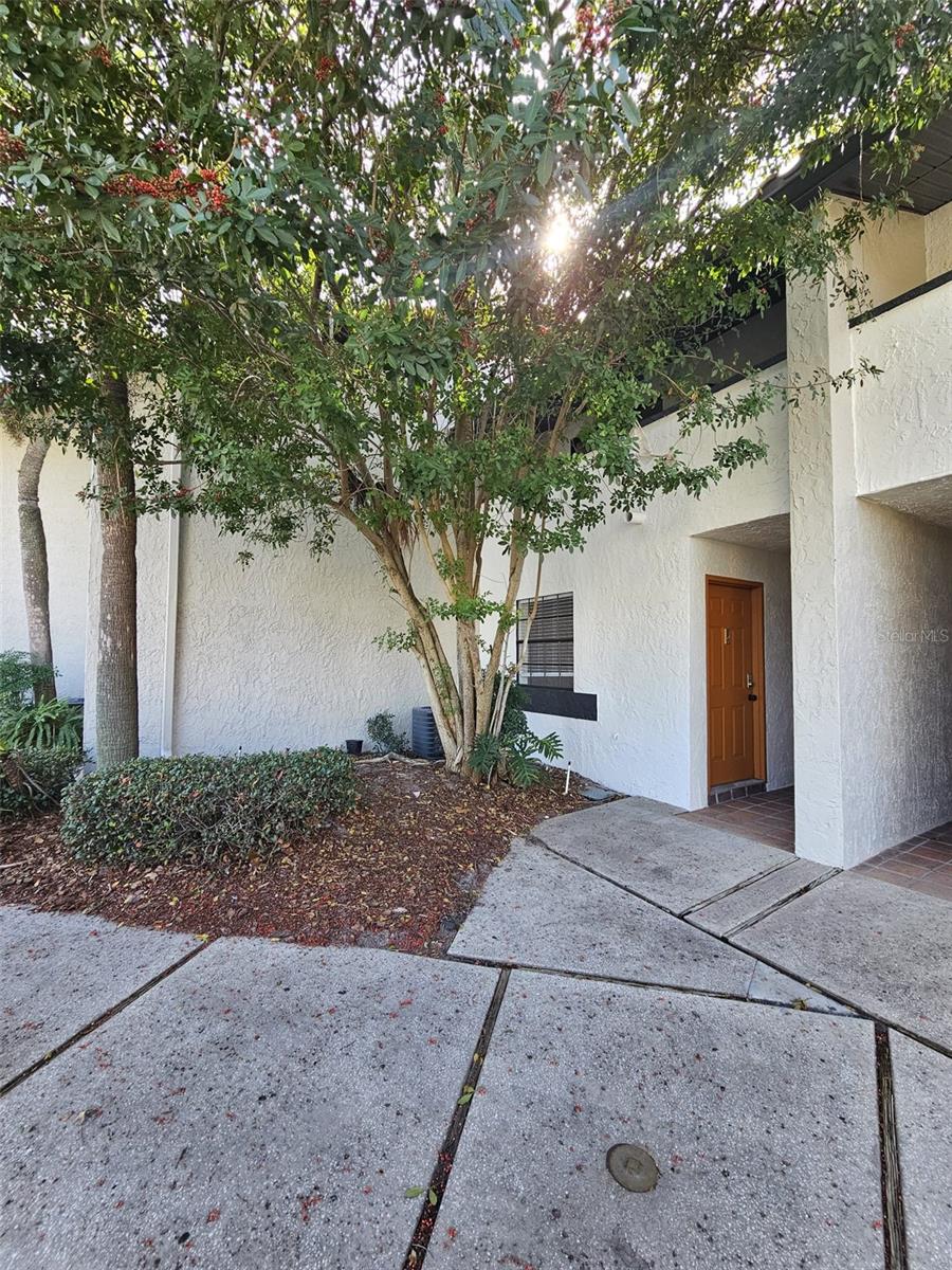 Image 14 of 21 For 10232 Turkey Lake Road 180