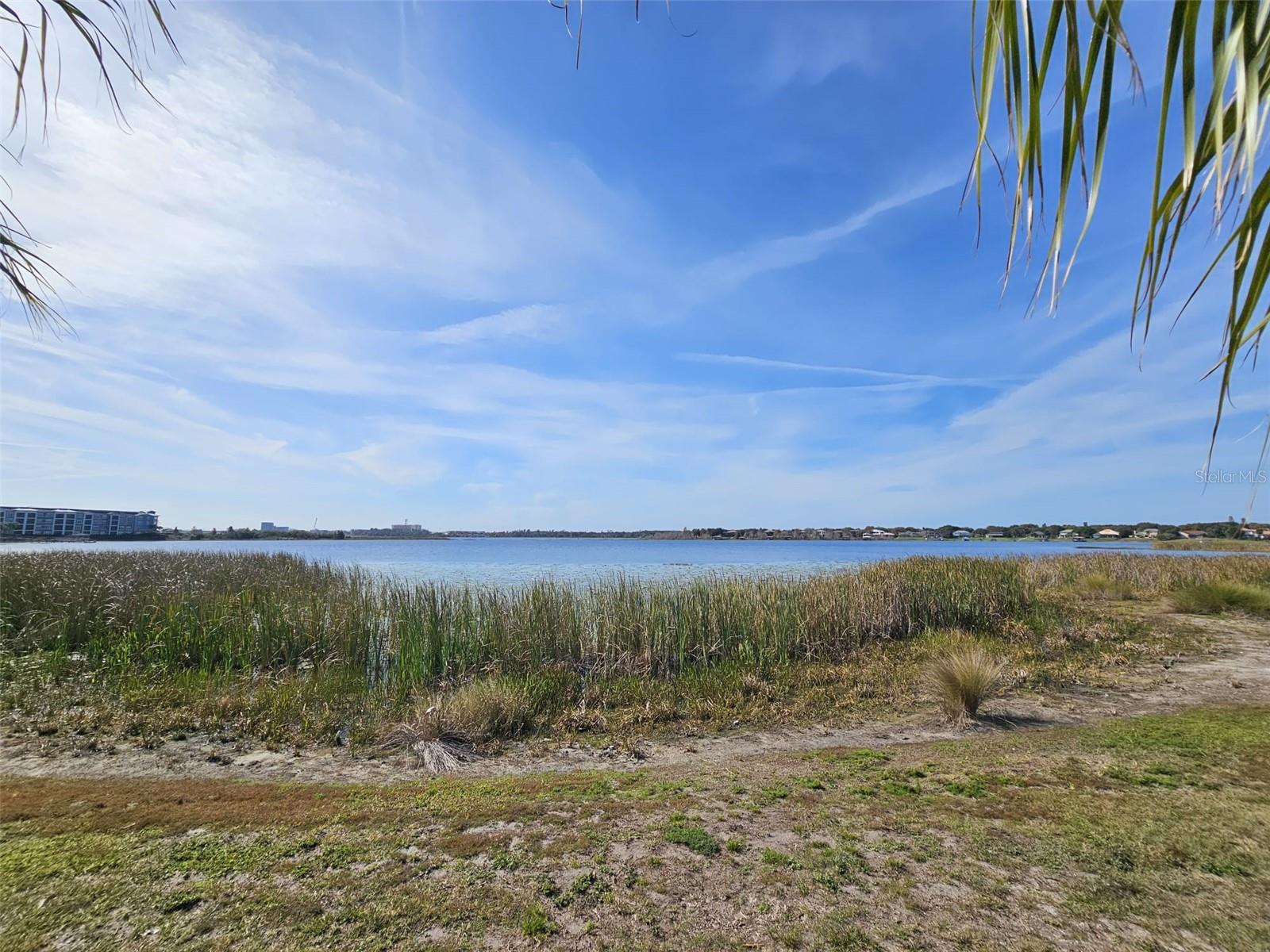 Image 5 of 21 For 10232 Turkey Lake Road 180