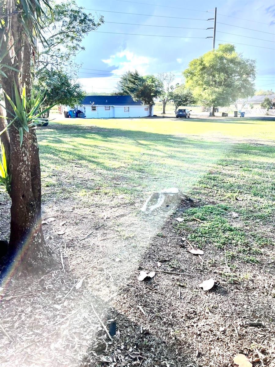 Image 7 of 10 For 333 Weaver Avenue