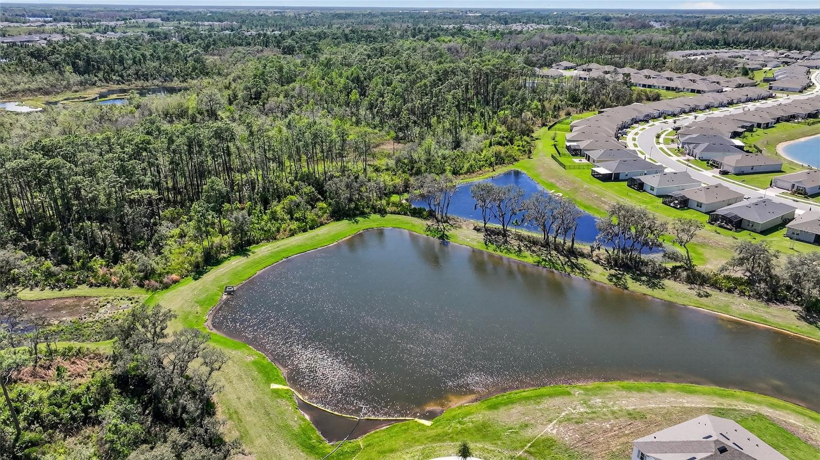 Image 49 of 55 For 16587 Barbours Creek Way