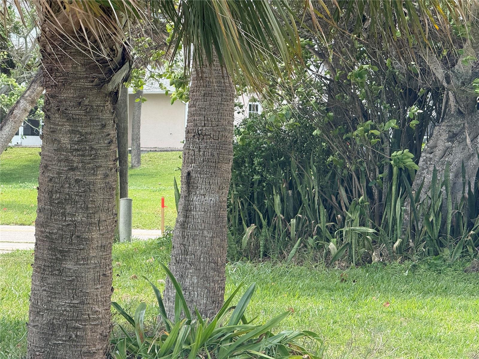 Image 10 of 24 For Coral Circle