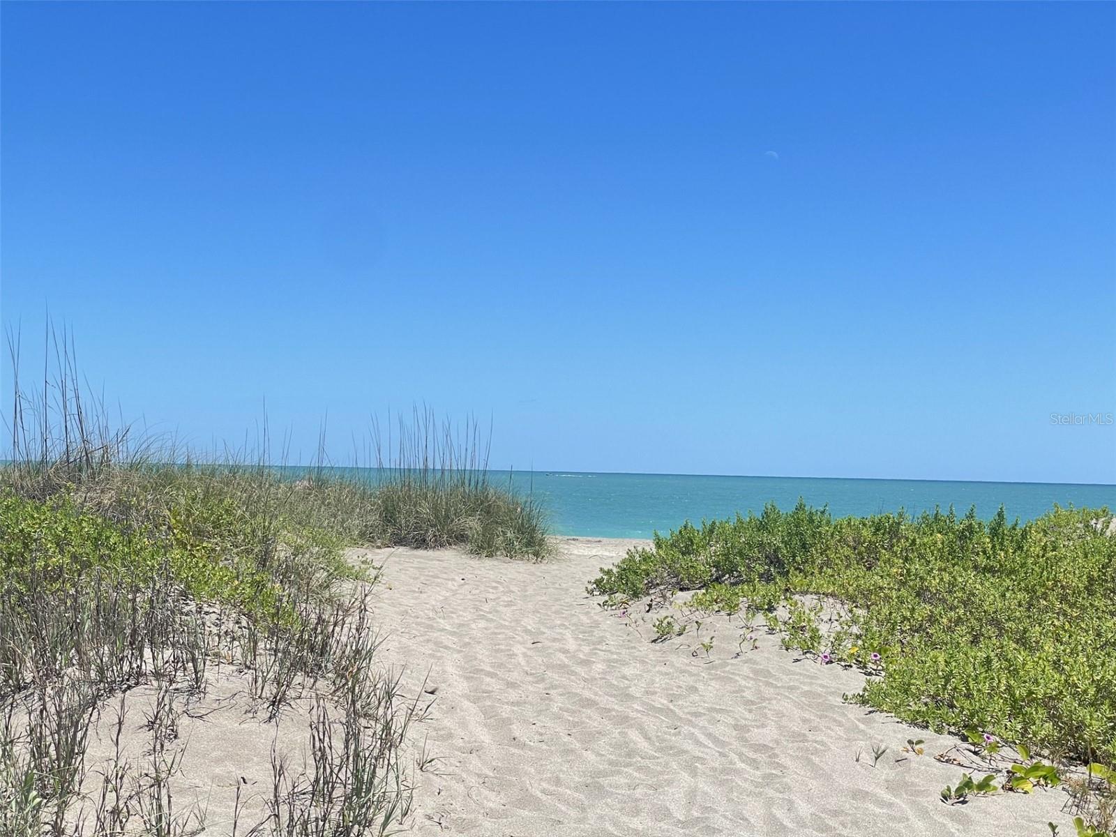 Image 12 of 24 For Coral Circle