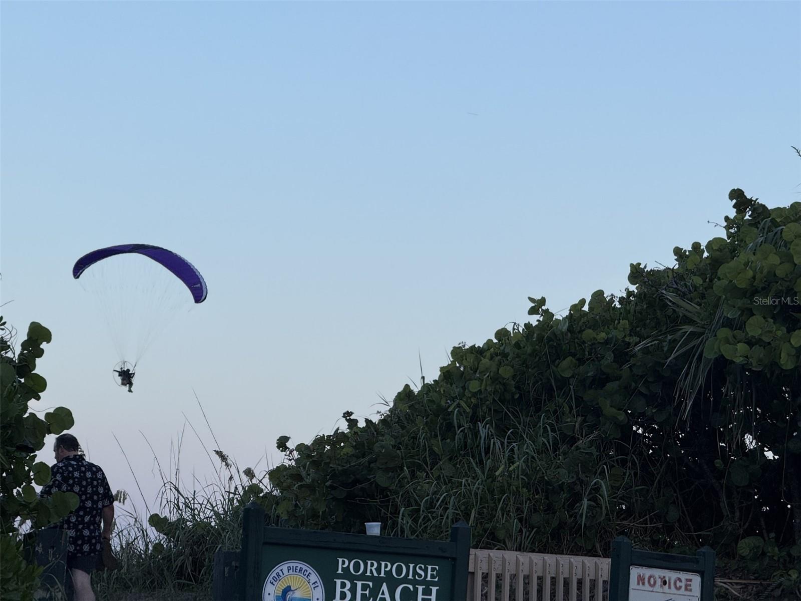 Image 14 of 24 For Coral Circle