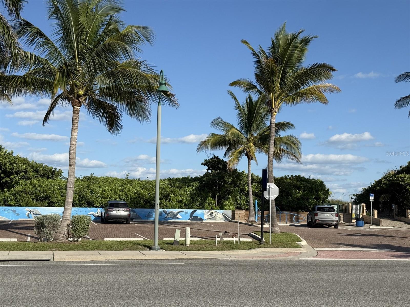 Image 15 of 24 For Coral Circle