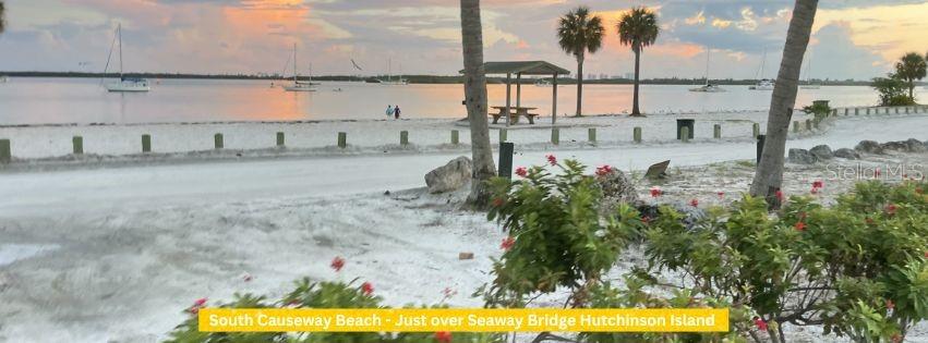 Image 18 of 24 For Coral Circle