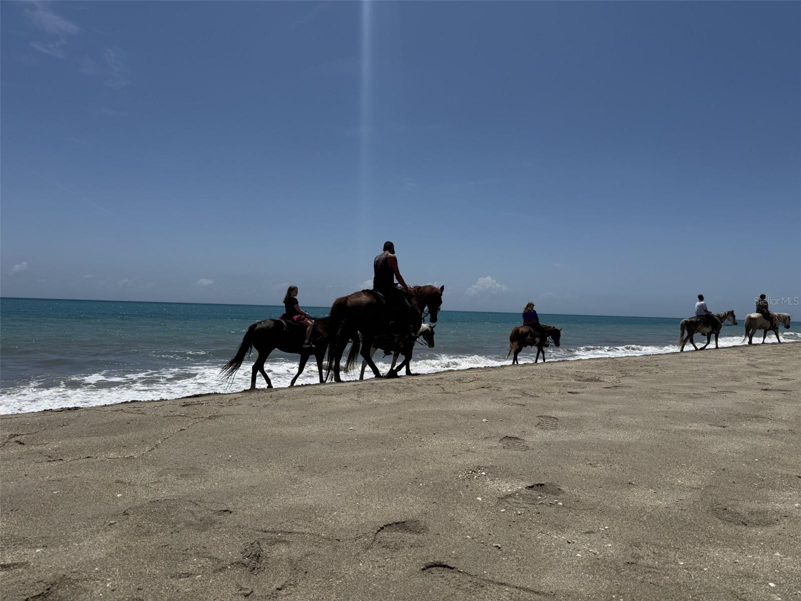 Image 19 of 24 For Coral Circle