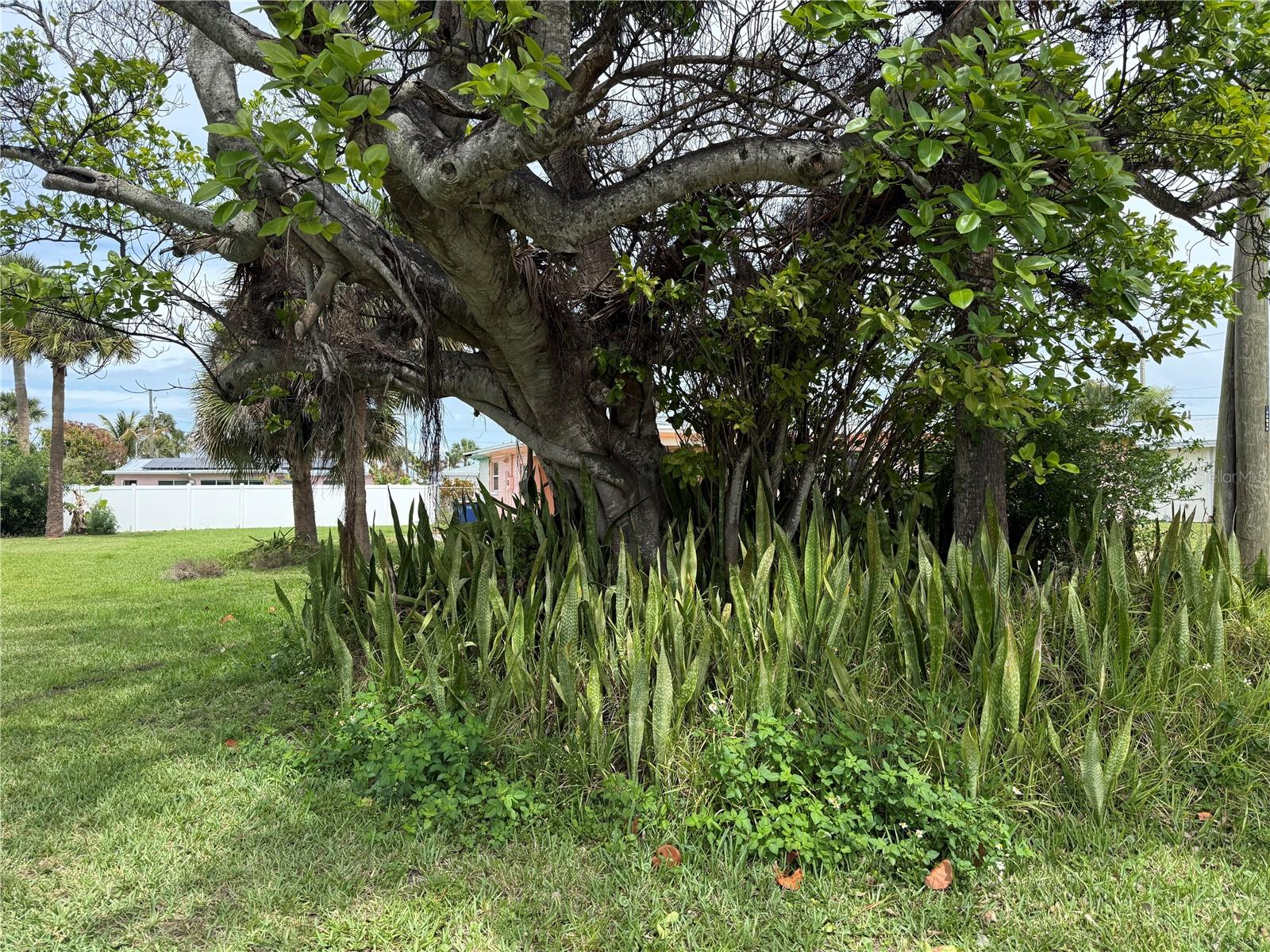 Image 9 of 24 For Coral Circle