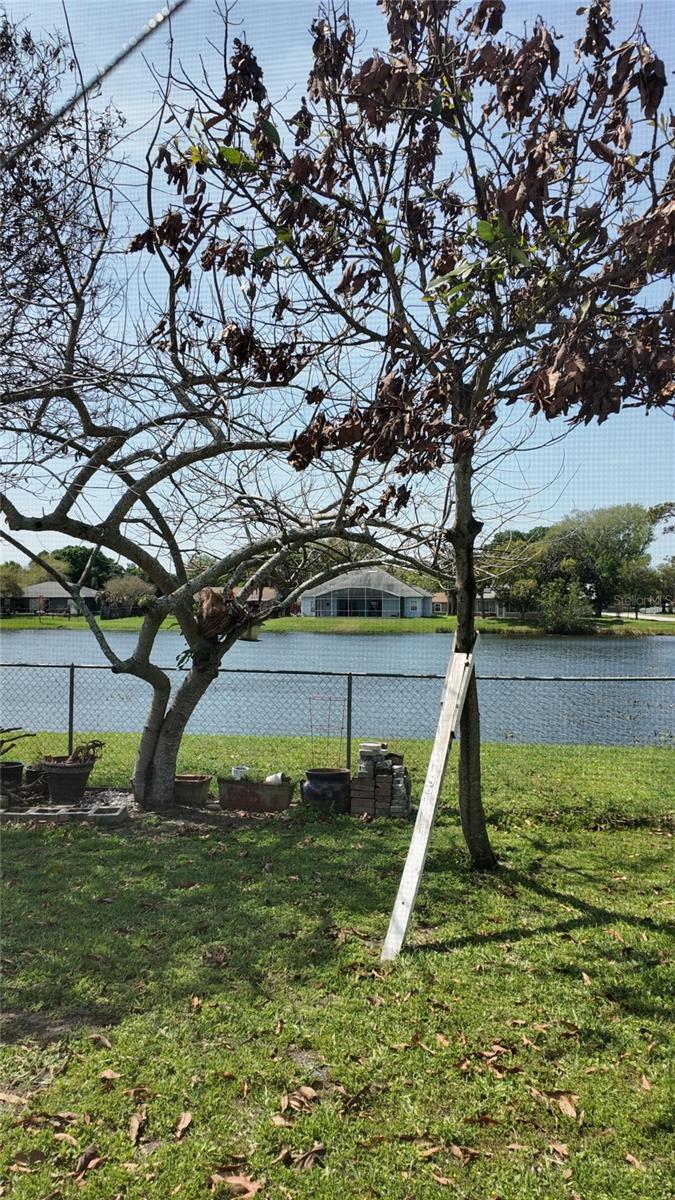 Image 26 of 28 For 1110 Craig Court